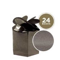 SPARKLING DUST GUN METAL GREY GIFT BOX  1x24