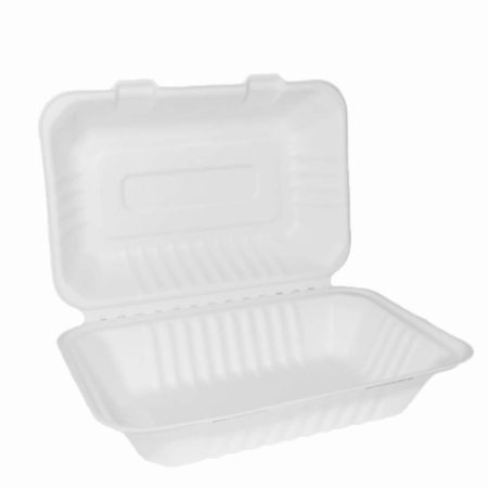 BAGASSE LARGE MEAL BOX (9inch x 6inch)   1x250
