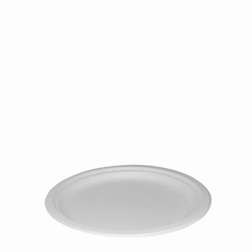 9inch BAGASSE PAPER PLATE   1x500