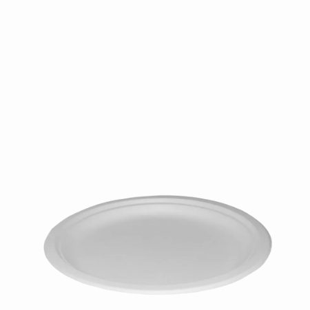 10inch BAGASSE PAPER PLATE   1x500
