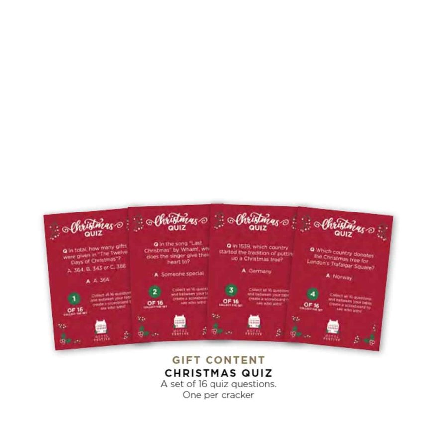 10inch CHRISTMAS PUDDING CRACKER   1x100