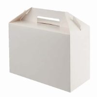 CARRY PACK LARGE WHITE 1x125