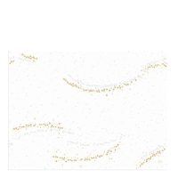 DUNICEL GOLDEN STARDUST WHITE 30cm x 40cm PLACEMATS   1x500