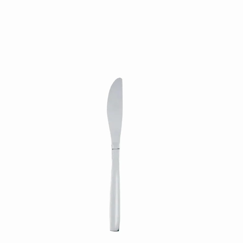 TABLE KNIFE STAINLESS STEEL ECONOMY   1x12