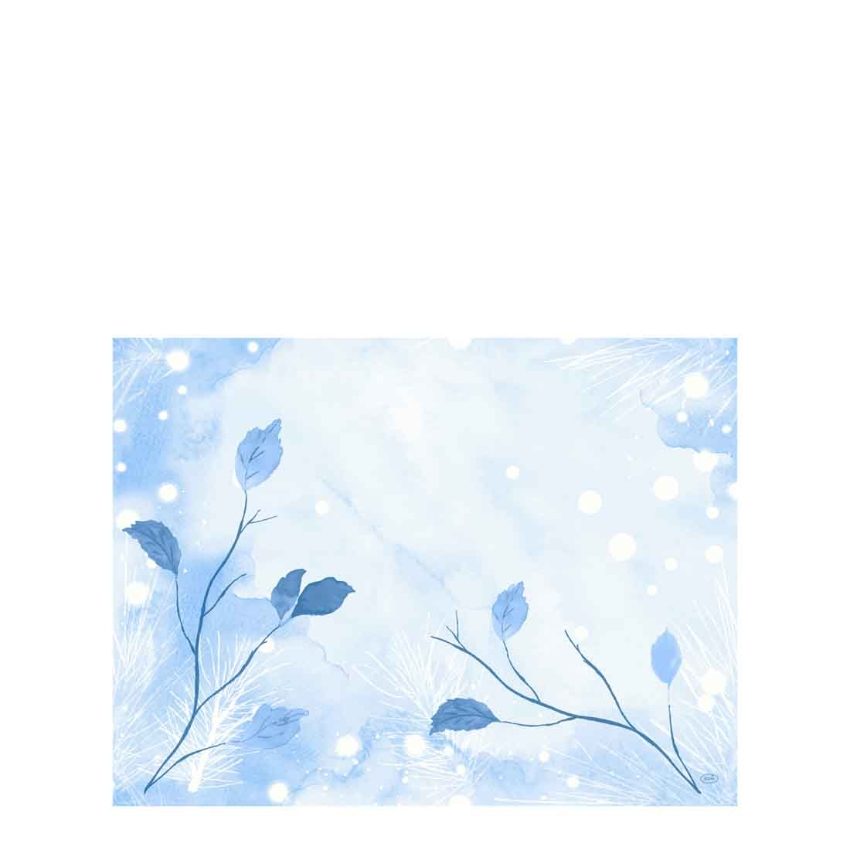 DUNI PAPER FROSTED WINTER 30cm x 40cm PLACEMATS   1x1000